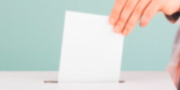 elecciones-rector